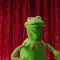kermit the frog the red wedding gif