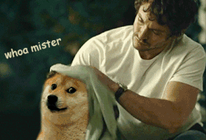 Will Graham / muchDoGE (Hannibal)
