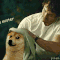 Will Graham / muchDoGE (Hannibal)