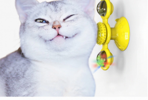 A fun toy to reduce cat anxiety and depression. Watch your kitten play away for hours, Turning the windmill cat toy gives your cat all the feline fun without the clutter! All the designs fit the cat's design and are comfortable for self-entertainment. There are two transparent bins on the round blades of the windmill, which can place light balls, bells, and mint balls to attract cats. When the windmill is gently moved, it will rotate, making the cats love not releasing their claws, and there are a hair and face rubbing device in the middle Best