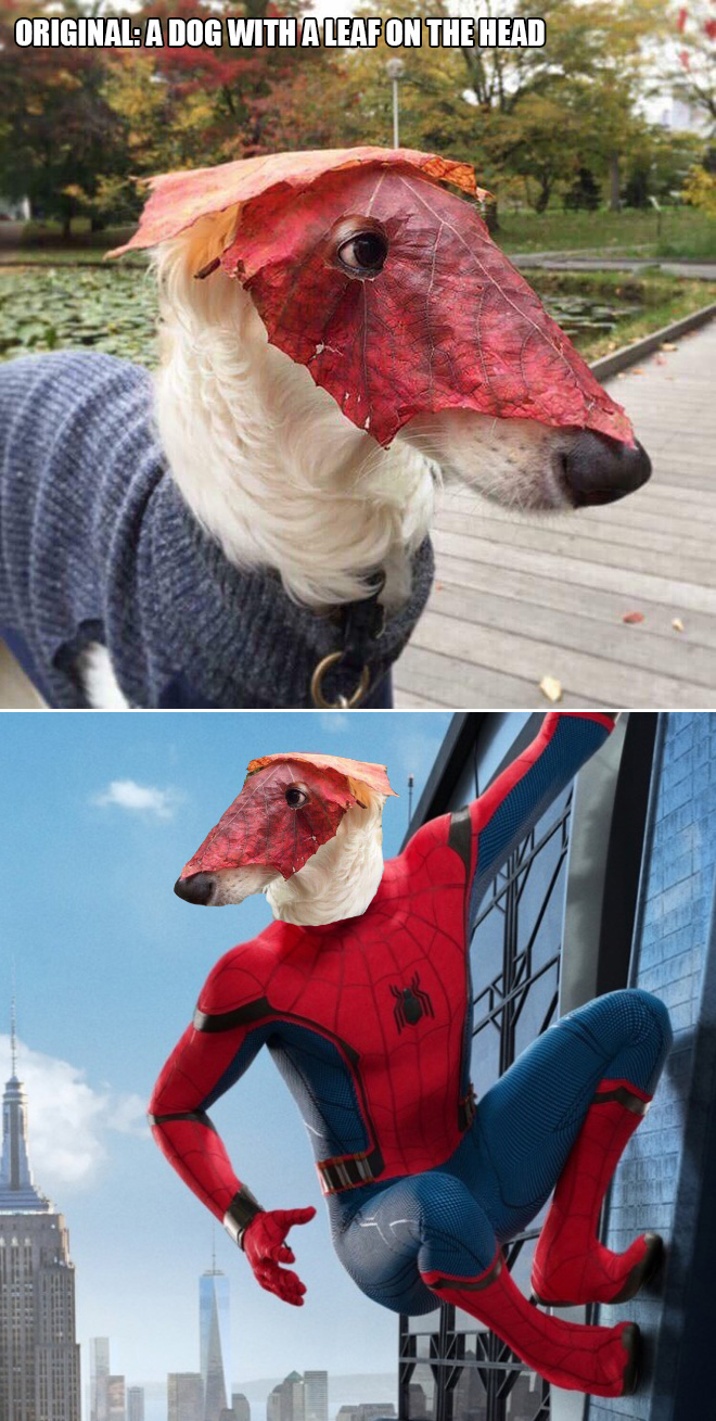 20 Winners of The Greatest Photoshop Battles Ever