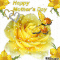 Yellow Butterfly & Rose Happy Mother's Day quotes quote mom mothers day gifs mother happy mothers day mothers day quotes happy mothers day quotes mothers day images happy mothers day images mothers day gifs beautiful mothers day quotes mothers day blessings best mothers day quotes special mothers day quotes mothers day 2021 mothers day quotes for 2021 best mothers day gifs