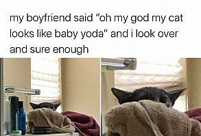 The King Of Wholesome Memes: 50 Of The Most Wholesome Memes Posted By This Instagram Account