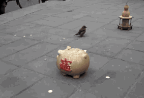 Other Funny Gifs gif-tv.tumblr.com/ And Funny Youtube Video - www.youtube.com/...