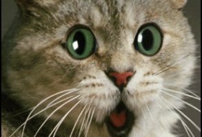 You're How Old?! Happy Birthday