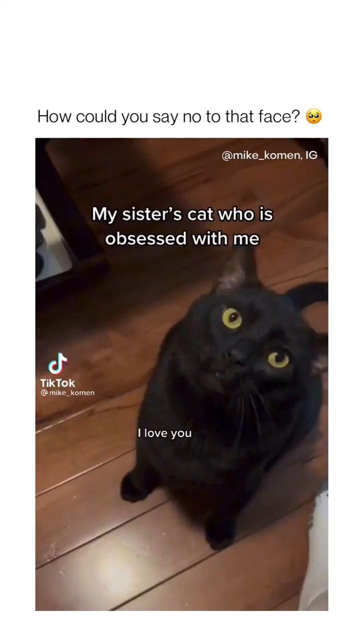 - 🎥: instagram.com/...