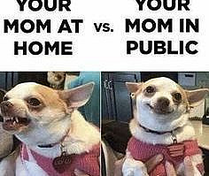 It be so true tho 🤣 🤣 😅