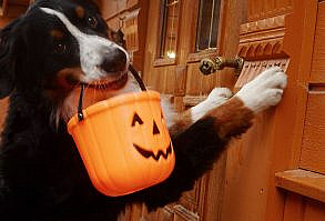 eat, drink & be scary.