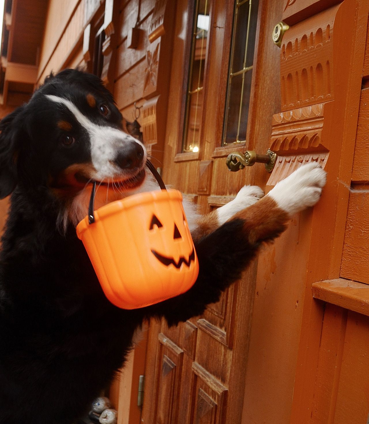 eat, drink & be scary.