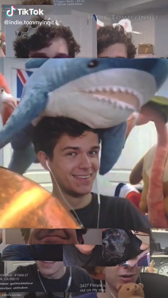 Joshua Arndt.tommyinnit on tiktok