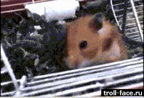 milashka-B60efL.gif (350×620)