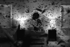 tumblr_n1klhxMQli1sjwo7fo1_500.gif (500×307)