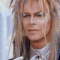 vezzipuss.tumblr.com — David Bowie, “Labyrinth”, Circa 86. 🔮