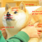wow so doge