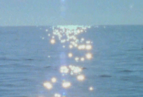 Herederos de la Corona, presos de los regímenes opresores de la reale… #fanfic # Fanfic # amreading # books # wattpad