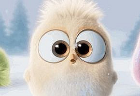 Анимация Пушистый птенец из рождественского ролика Angry Birds рассматривает снег