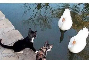 Самые новые анекдоты на картинках. Ежедневно