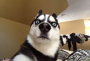 มึงเป็นใคร