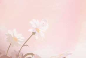 ▣▣▣▣▣▣▣▣▣▣▣▣▣▣▣▣▣▣▣▣▣▣▣▣