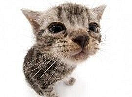 ─────────────