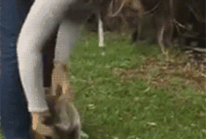 Manchmal kann das Leben voll Scheiße sein.