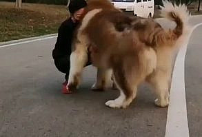 29 Chonky Bois That Definitely Qualify As Absolute Units - Memebase - Funny Memes