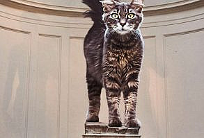 Artist Shows What It Would Be Like If The World Were Inhabited By Giant Cats (92 New Pics)