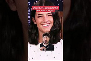 Charli D’Amelio forgets that cheese isn’t vegan - YouTube