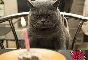 Happy Birthday Meme Funny | 30+ Naughty Birthday Memes | Cake Meme #happybirthdayimages