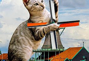 Artist Shows What It Would Be Like If The World Were Inhabited By Giant Cats (92 New Pics)