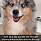 191 Hilarious Dog Snapchats That Are Impawsible Not To Laugh At (Part 4)