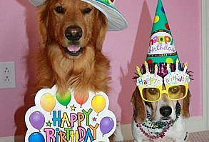 Birthday Wishes Images