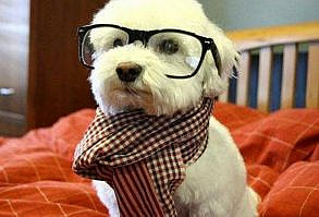 85 Happy Belated Birthday Memes -