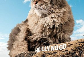 Artist Shows What It Would Be Like If The World Were Inhabited By Giant Cats (92 New Pics)