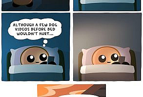 Meet Tubby, A Cute, Loved And Funny Nugget