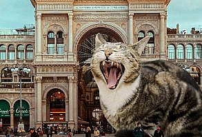 Artist Shows What It Would Be Like If The World Were Inhabited By Giant Cats (92 New Pics)