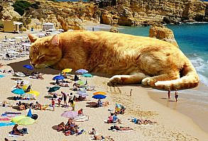 Artist Shows What It Would Be Like If The World Were Inhabited By Giant Cats (92 New Pics)