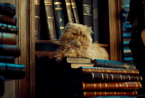 Hikayeniz İçin Gif Önerileri ARADIĞINIZ HER GİFİ BULABİLİRSİNİZ İÇER… #kurguolmayan # Kurgu Olmayan # amreading # books # wattpad