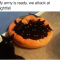29 Animal Memes That Are Guaranteed to Make You Giggle - I Can Has Cheezburger? - Funny Cats | Funny Pictures | Funny Cat Memes | GIF | Cat GIFs | Dogs | Animal Captions | LOLcats | Have Fun | Funny Memes