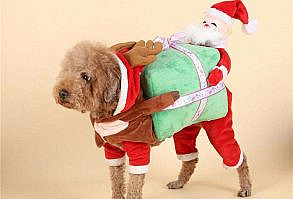 Brand Name: MoonBacks Type: Dogs Season: Autumn/Winter Material: Fiber Pattern: Print