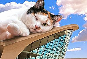 Artist Shows What It Would Be Like If The World Were Inhabited By Giant Cats (92 New Pics)