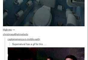 They have a GIF for toilet paper: | Definitive Proof That The