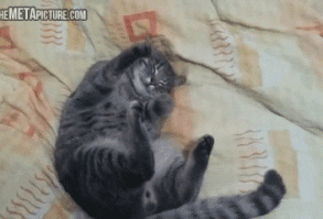 Other Funny Gifs gif-tv.tumblr.com/ And Funny Youtube Video - www.youtube.com/...