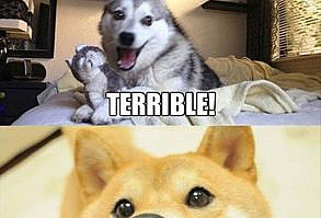 Cheezburger.com - Crafted from the finest Internets.