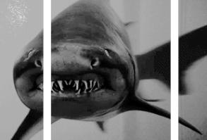 AHHHHH A DIFFERENT WORLD A DIFFERENT WORLD. | 13 GIFs That Pop Right Off The Screen