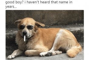 16 Animal Tweets That Made Us Laugh Last Week - I Can Has Cheezburger?