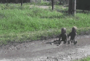 Living every day without regrets or apologies.