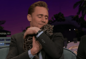 17 Gifs Of Tom Hiddleston Holding A Baby Leopard That Will Give You All The Feels | Bustle