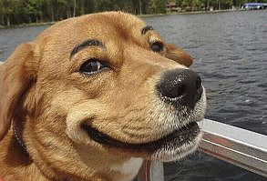 26 Times People Interacted with Statues and It Was Hilarious