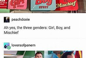 Cheezburger Image 9155296000